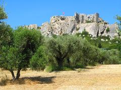 Ophorus Tours - A Private Day Trip from Aix en Provence to Arles, Saint Rémy & Les Baux villages