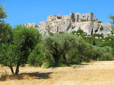 Ophorus Tours - Arles, Saint Rémy & Les Baux Private tour : Exploring Provencal Gems