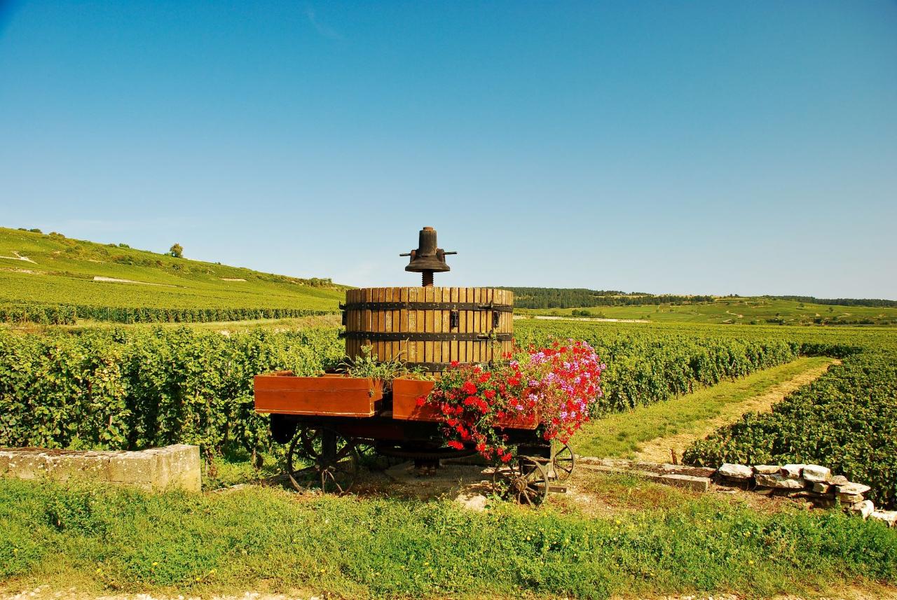 Ophorus Tours - A Private Burgundy Wine Tour From Dijon to Côte De Nuits 
