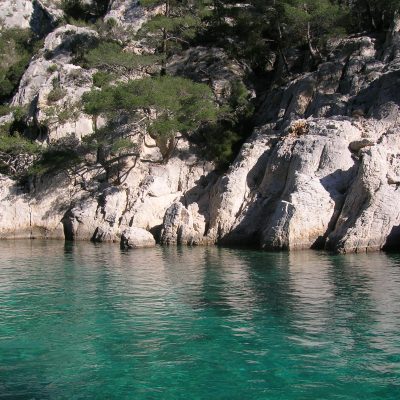 Calanques boat ride
