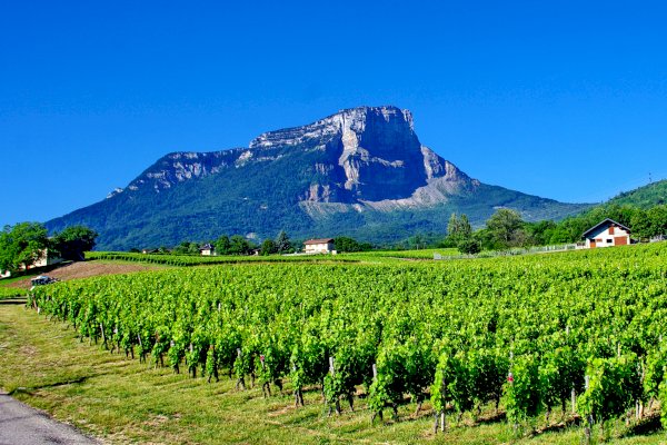 Ophorus Tours - Savoie Wine Tour from Annecy private